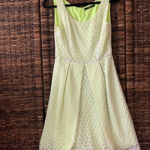 Tahari dress new without tags,